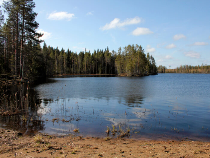 Öllölänjärven rannalla Luutalahdessa sijaitsee myös Pörtsämön erämaakalmisto.