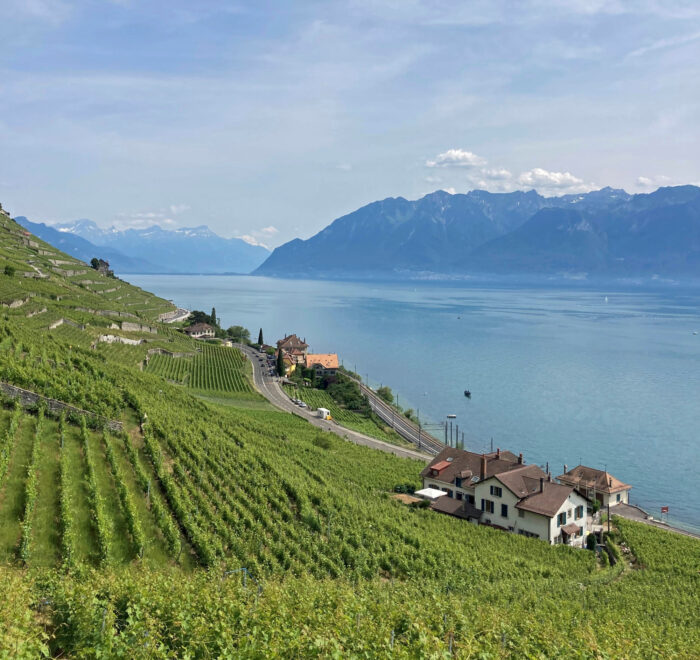 Lavauxin viininviljelyalue on yksi Unescon maailmanperintökohteista. Kuva: Päivi Tolonen