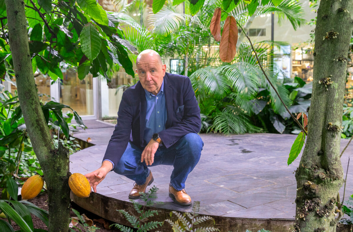 Petri Laukkanen tutustui kaakaopuun hedelmiin Fazerin vierailukeskuksen kasvihuoneessa Vantaan Vaaralassa.