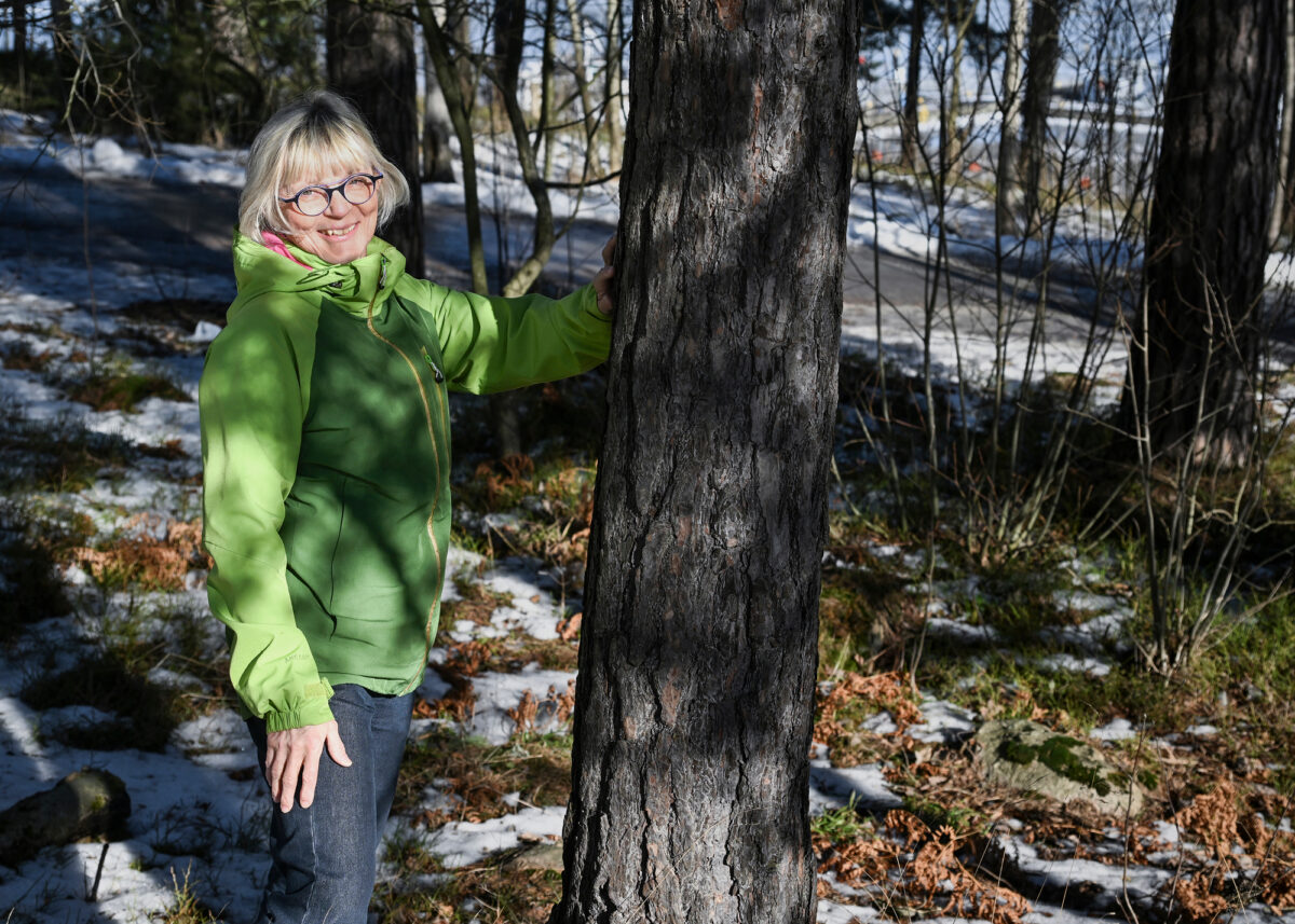 Riitta Vaniala tekee t&ouml;it&auml; Spatineolle, jonka asiakkaita ovat muun muassa mets&auml;yhti&ouml;t.